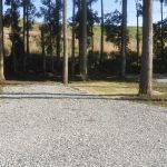 8号
